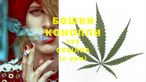 твердый Вязники