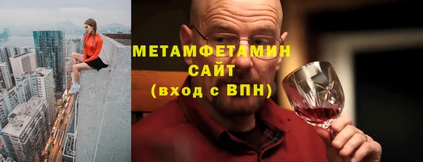прущие грибы Волоколамск