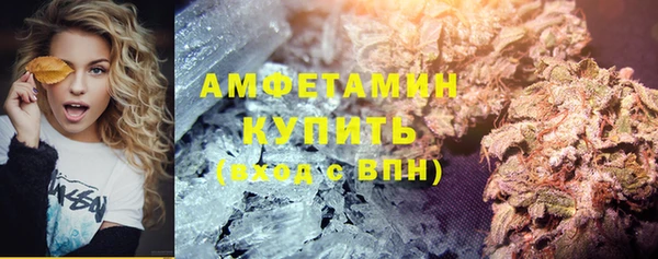 прущие грибы Волоколамск