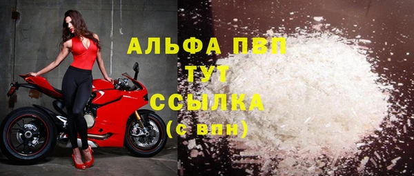 прущие грибы Волоколамск