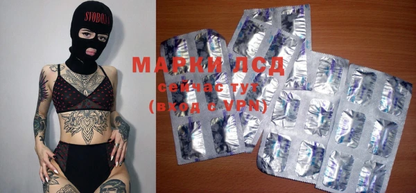 apvp Вяземский