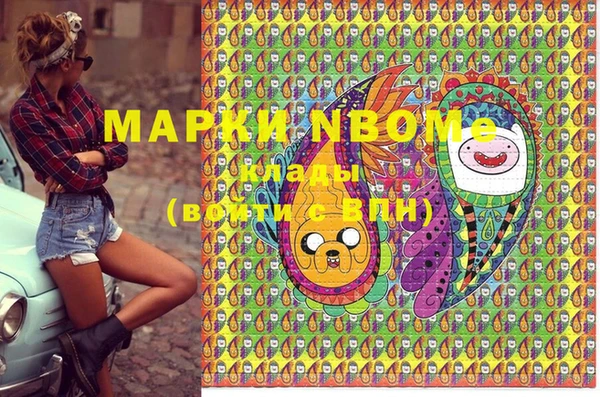 apvp Вяземский