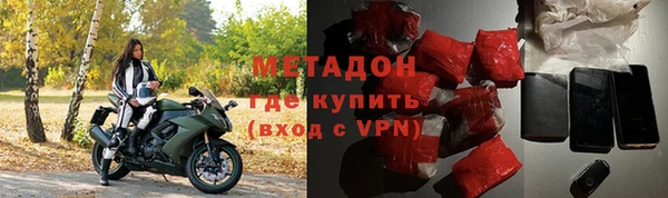 прущие грибы Волоколамск