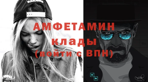 прущие грибы Волоколамск
