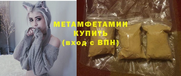 прущие грибы Волоколамск